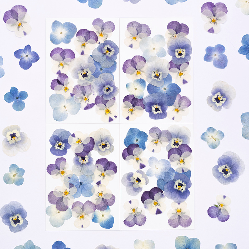 Candle Supplies In - 12 Piezas de Flores Secas de