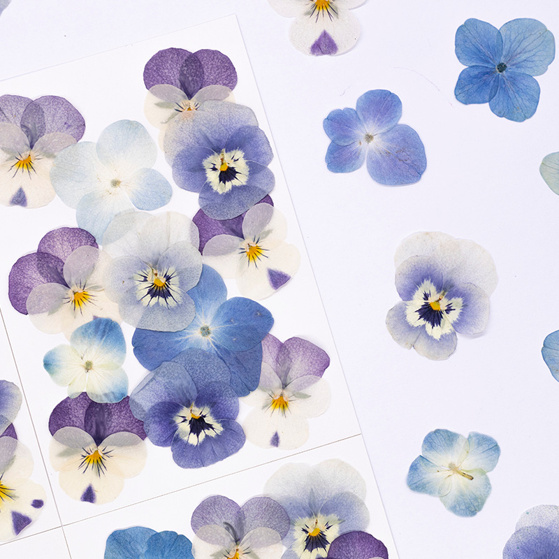 12 Piezas de Flores Secas de V - Candle Supplies In reseña y precio