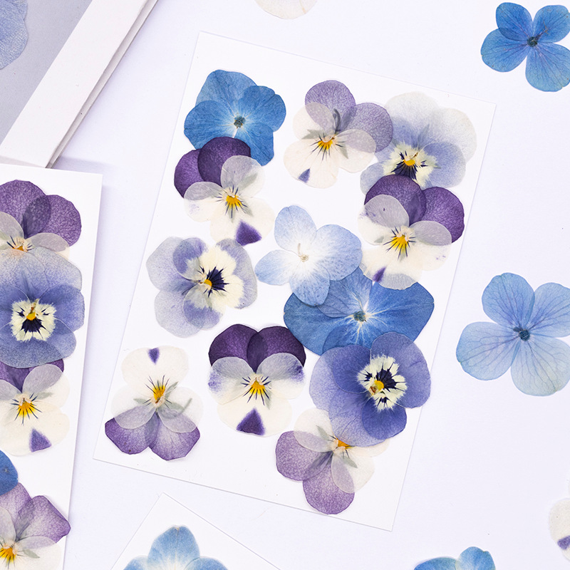 12 Piezas de Flores Secas de V - Candle Supplies In reseña y precio