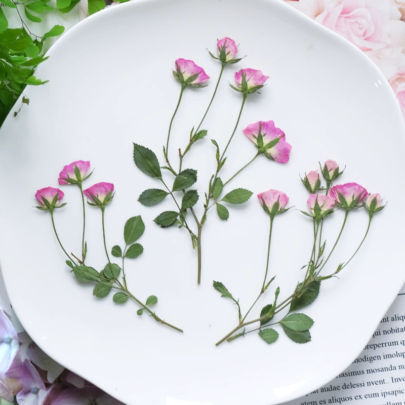 12 Piezas, Mini Rosas Rosadas  - Candle Supplies In reseña y precio